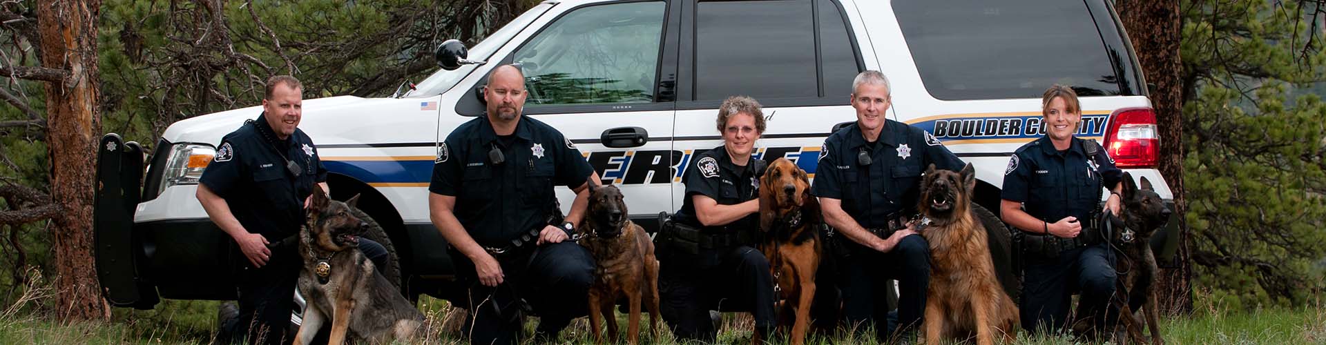Boulder County Sheriff's canine unit