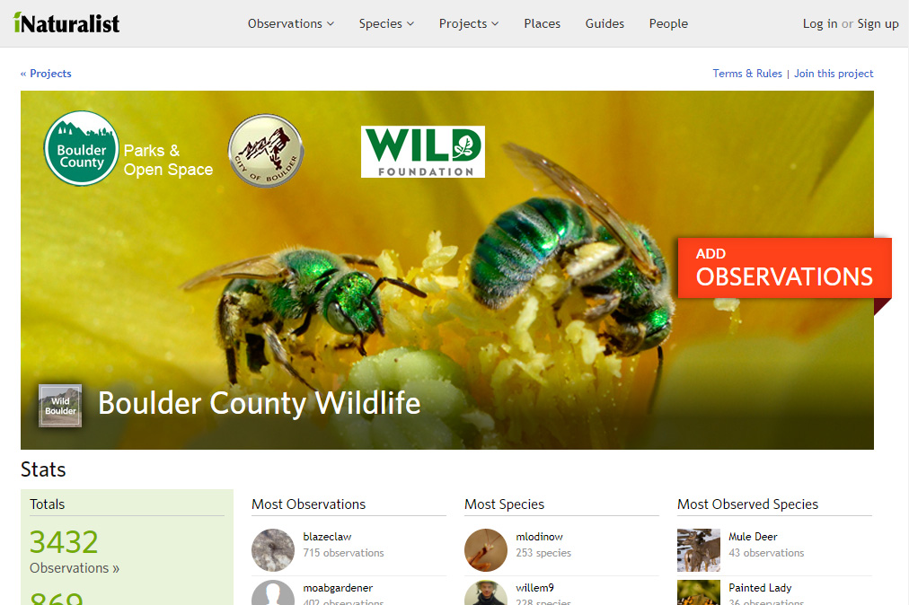 Boulder County Wildlife iNaturalist Project