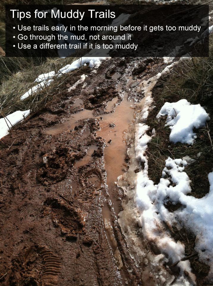 Muddy Trails