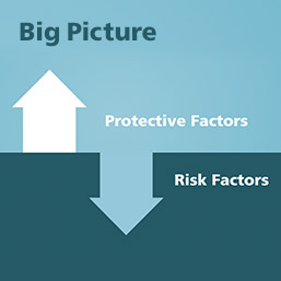 big picture includes increasing protective factors and reducing risk factors