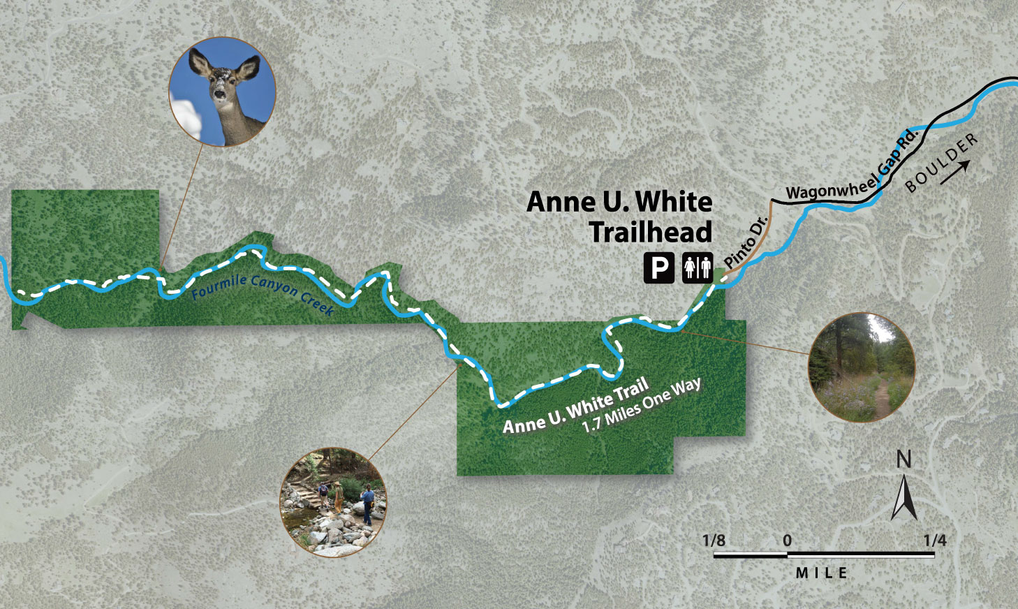 Anne U. White Trail Map