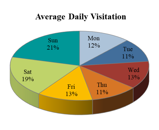 Anne U. White Average Daily Visits
