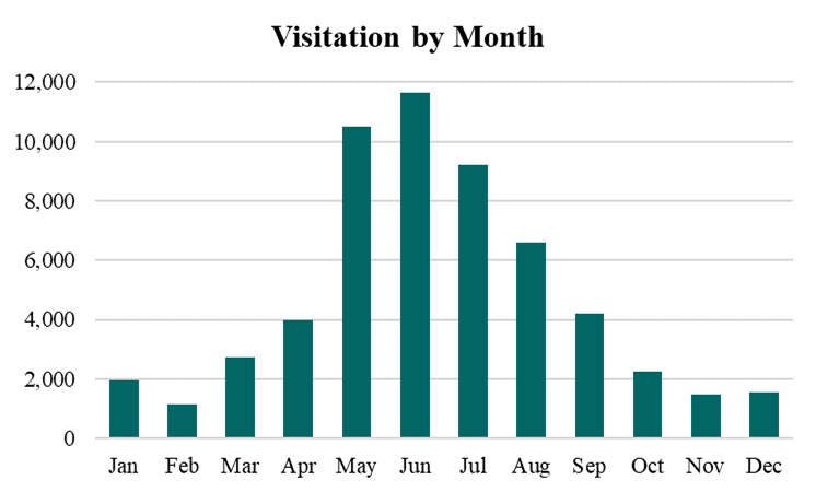 Anne U. White Visitation by Month